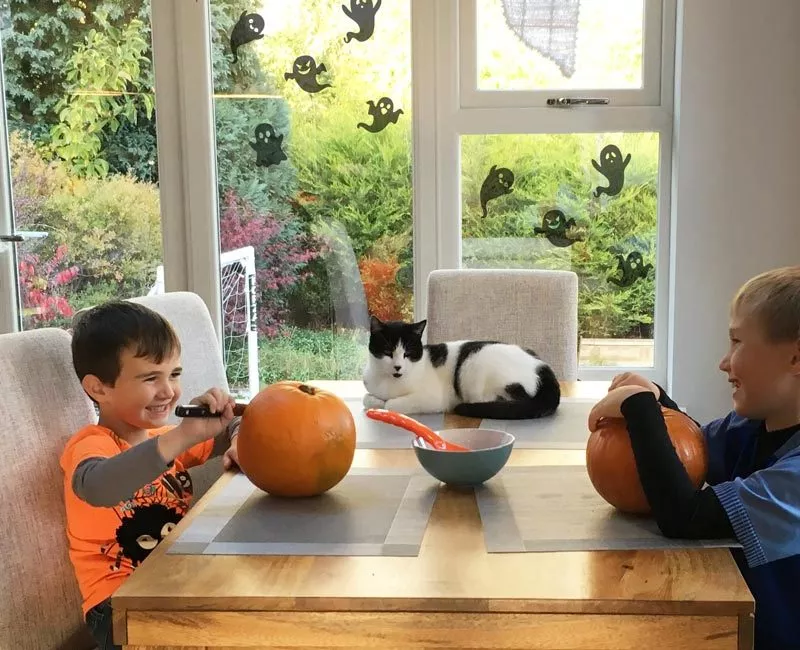 Decorating Pumpkins in Extension