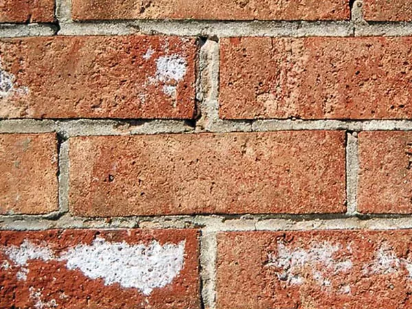 Eflorescence Brick Work