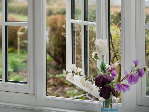 Envisage Flush Windows