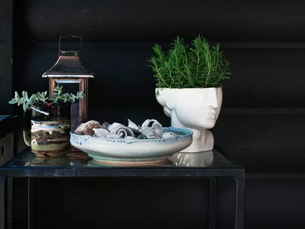 Potted Plants
