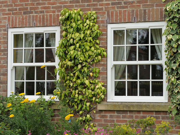 Sliding sash windows with Georgian bars